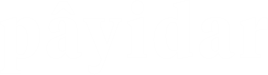 payidar logo beyaz